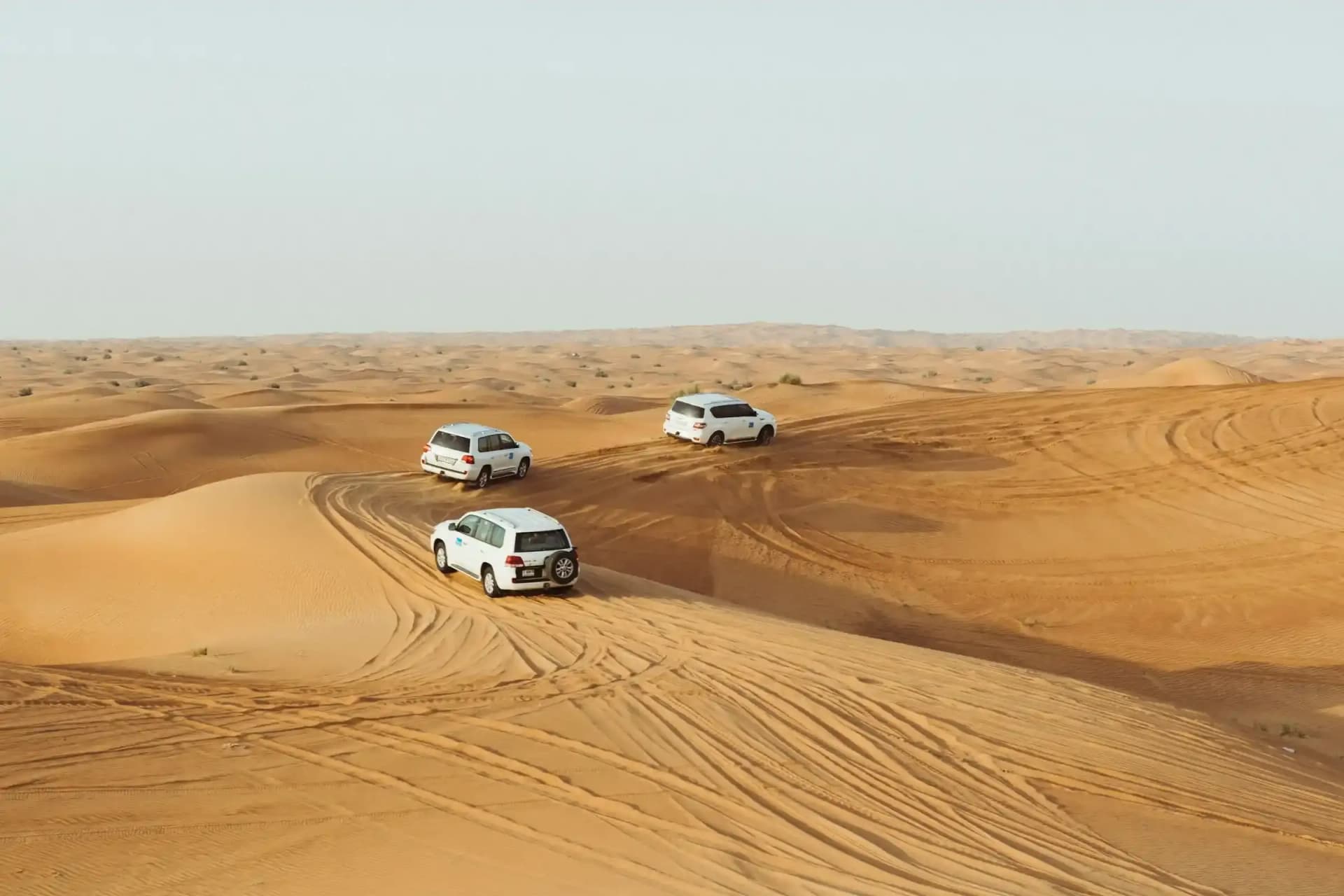 Desert Safari
in Golden Dunes