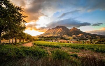 Stellenbosch